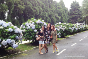 RootsandLeisure_Shillong
