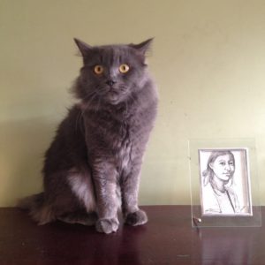 Rootsandlesiure_Cat