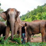 RootsandLeisure_ElephantPark_Thailand