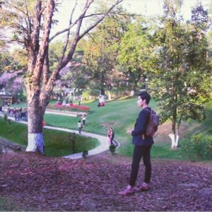 RootsandLeisure-Faces_CherryBlossom