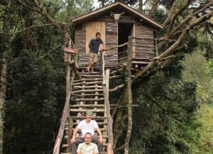 rootsandleisure_cloudline_treehouse