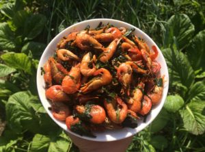 rootsandleisure_shrimprecipe