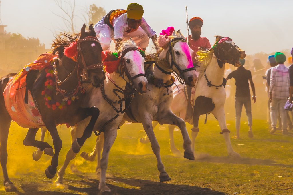 FACES The Vibrant Spirit of The Sikh Hola Mohalla Festival in Punjab