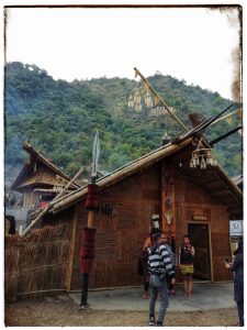 rootsandleisure_Hornbill