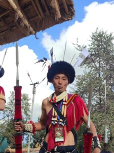 Rootsandleisure-hornbill-2022